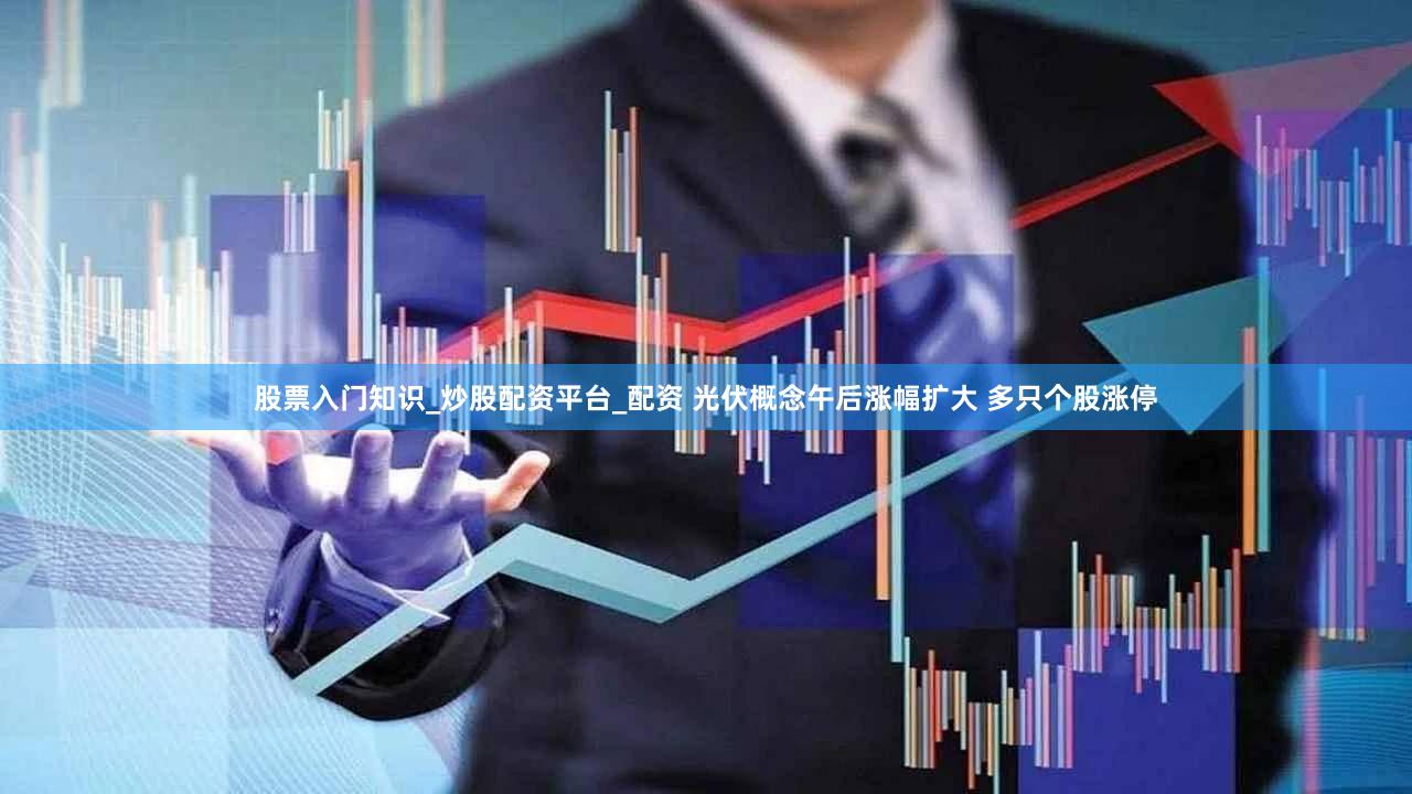 股票入门知识_炒股配资平台_配资 光伏概念午后涨幅扩大 多只个股涨停