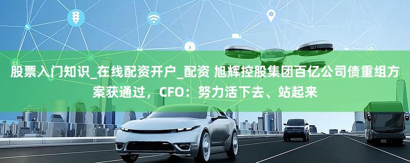 股票入门知识_在线配资开户_配资 旭辉控股集团百亿公司债重组方案获通过,CFO:努力活下去、站起来