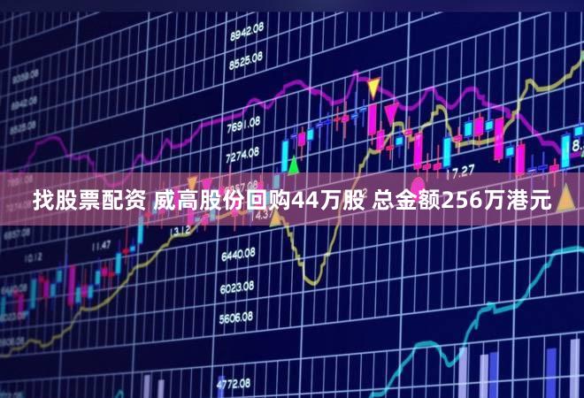 找股票配资 威高股份回购44万股 总金额256万港元