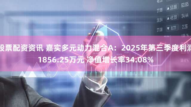 股票配资资讯 嘉实多元动力混合A：2025年第三季度利润1856.25万元 净值增长率34.08%