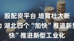 股配资平台 培育壮大新质生产力 湖北四个“加快”推进新型工业化
