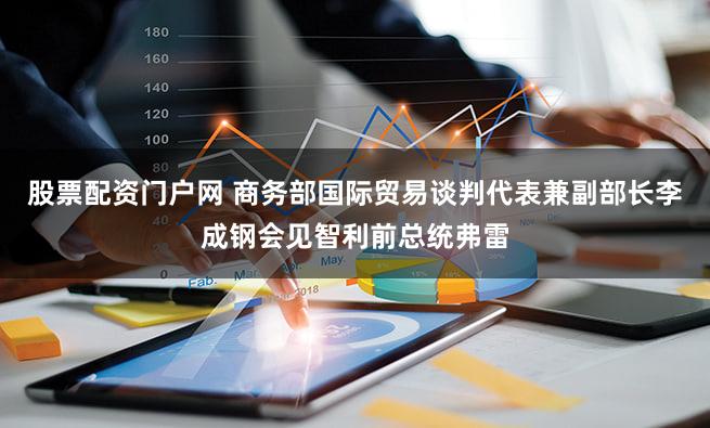 股票配资门户网 商务部国际贸易谈判代表兼副部长李成钢会见智利前总统弗雷