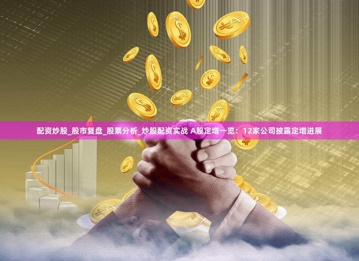 配资炒股_股市复盘_股票分析_炒股配资实战 A股定增一览：12家公司披露定增进展