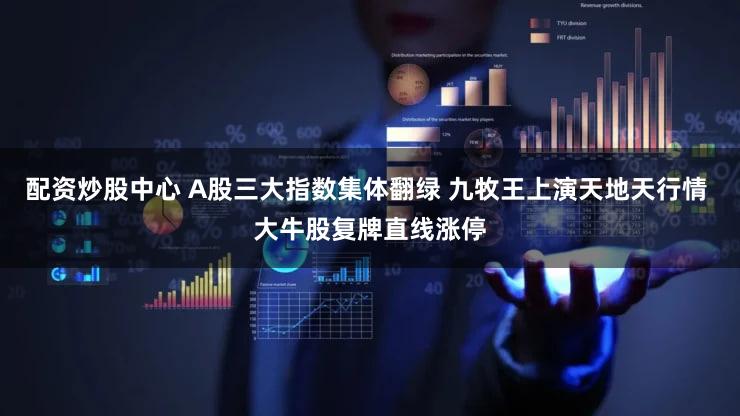 配资炒股中心 A股三大指数集体翻绿 九牧王上演天地天行情 大牛股复牌直线涨停