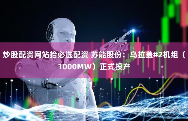 炒股配资网站拾必选配资 苏能股份：乌拉盖#2机组（1000MW）正式投产