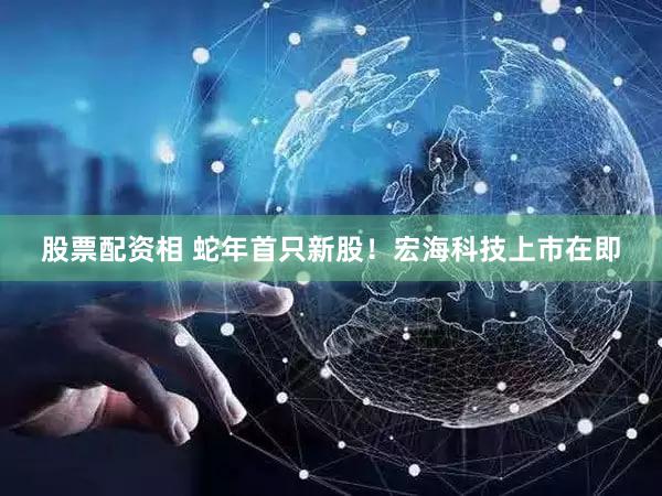 股票配资相 蛇年首只新股！宏海科技上市在即