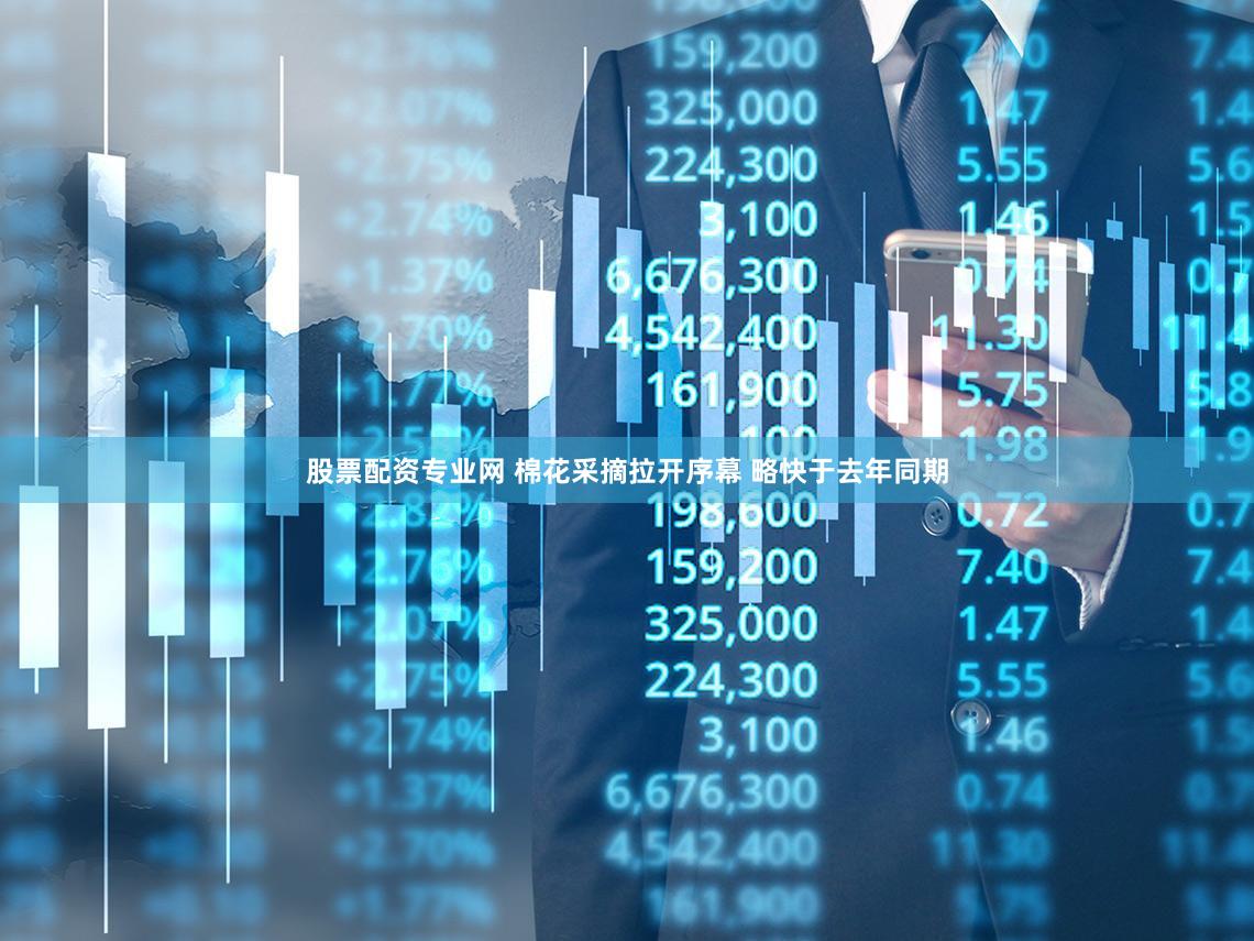 股票配资专业网 棉花采摘拉开序幕 略快于去年同期